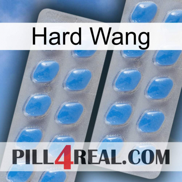 Hard Wang 23.jpg